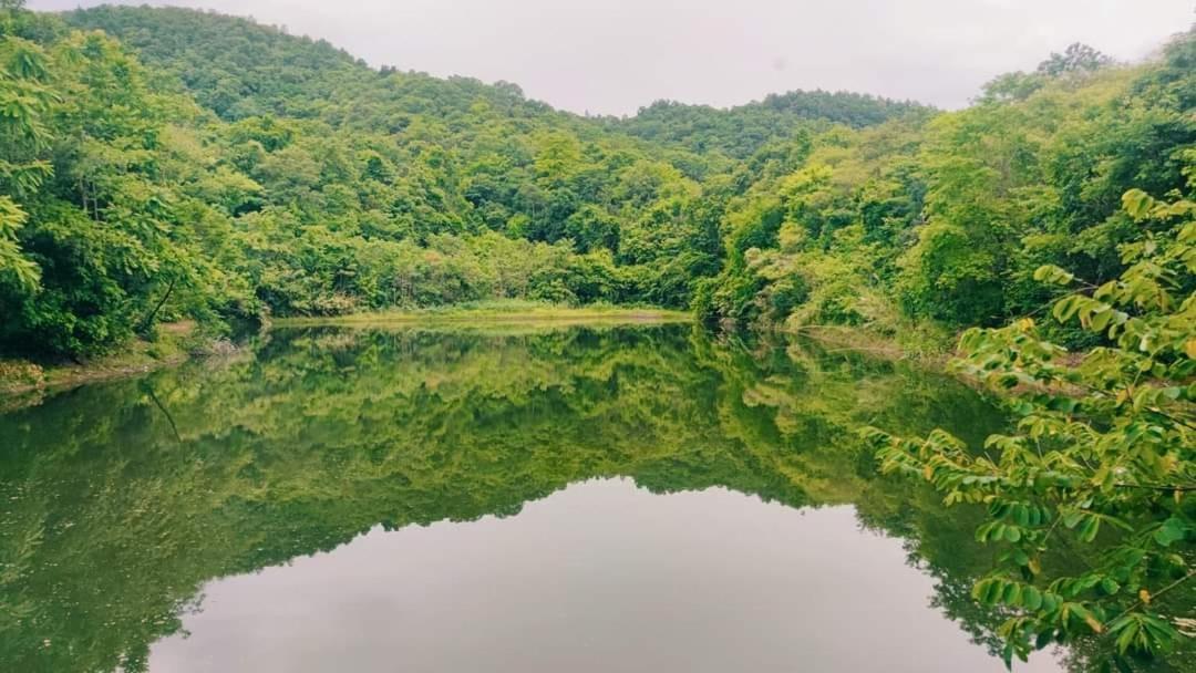 Foresta Villa Hang Dong Zewnętrze zdjęcie