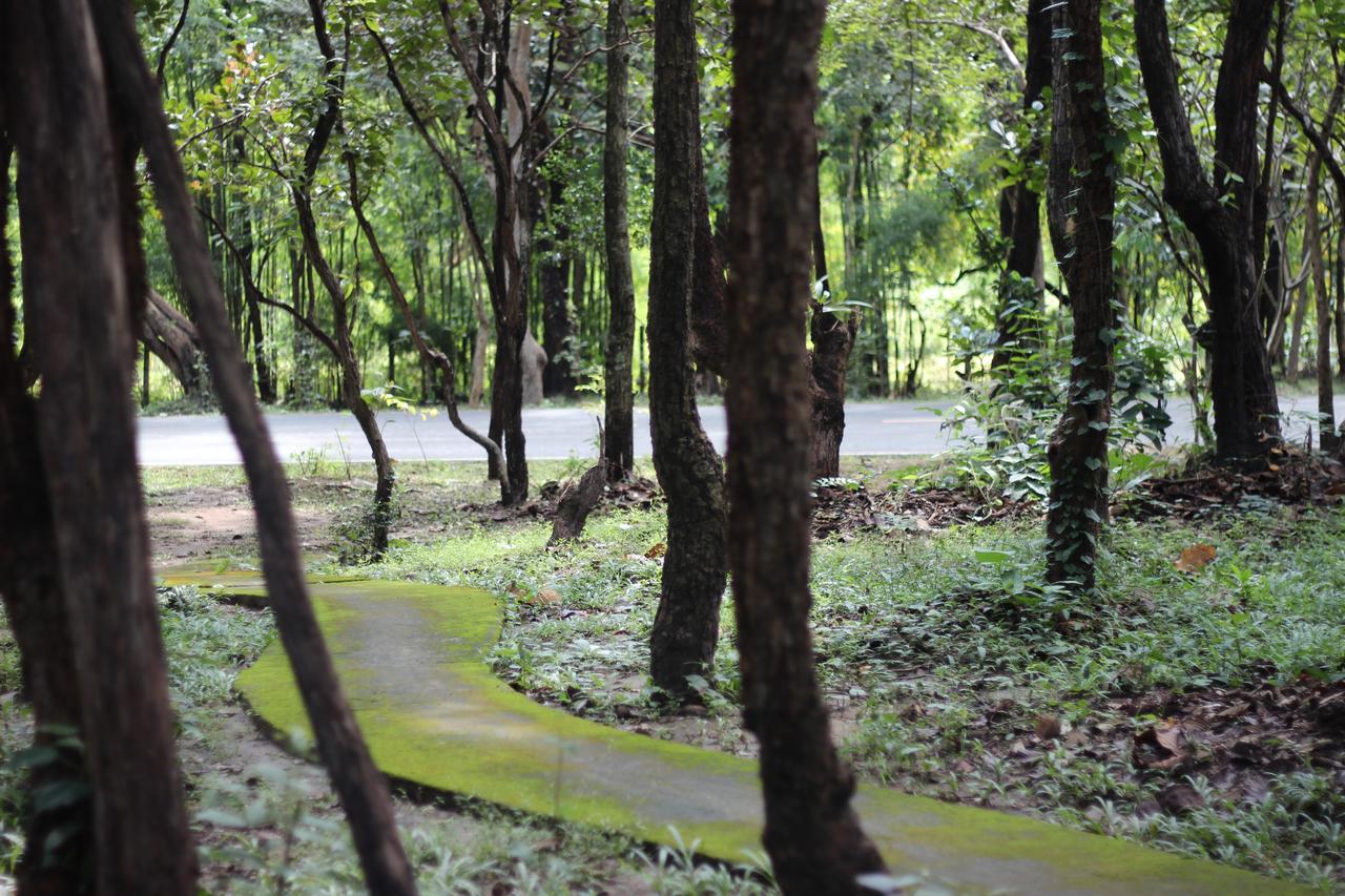 Foresta Villa Hang Dong Zewnętrze zdjęcie